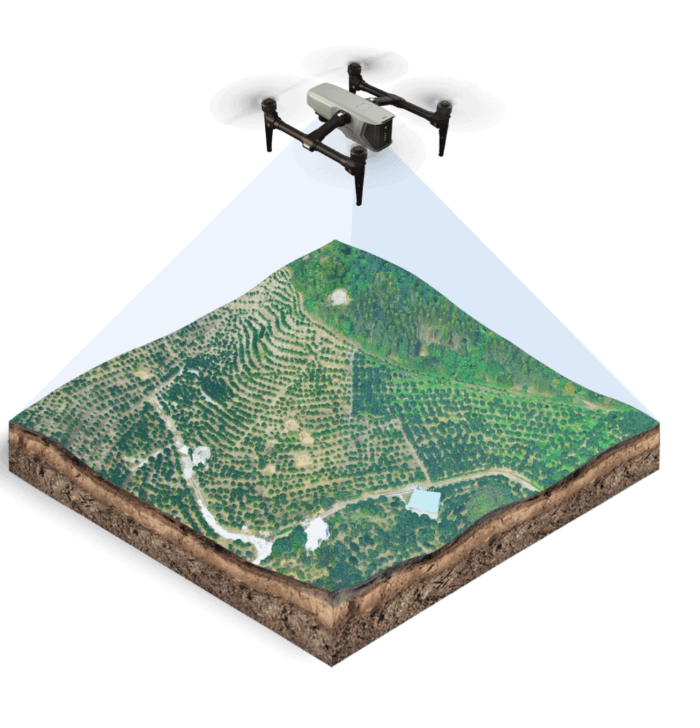 Surveying, Geospatial and Property Valuation Services